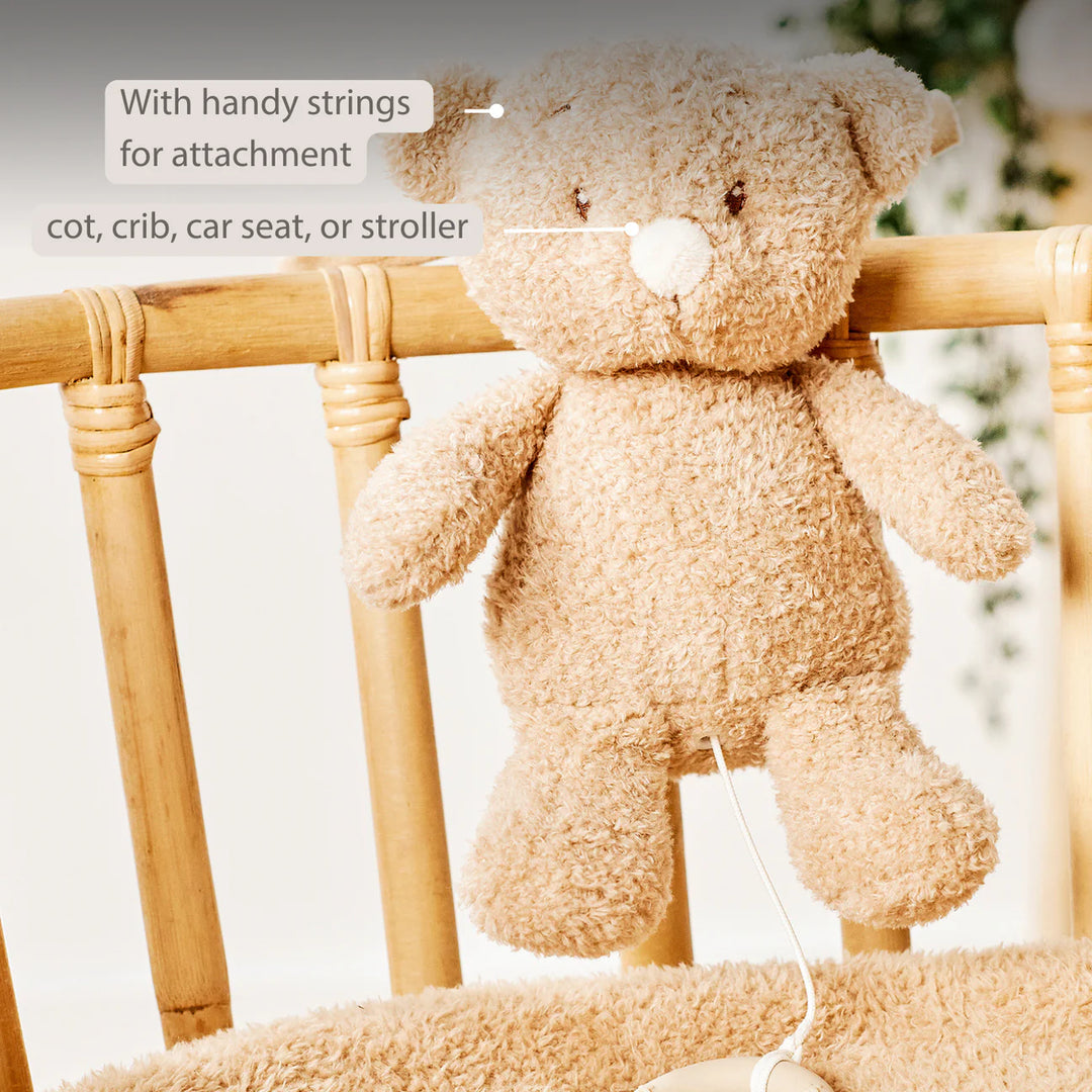 Nattou Musical Teddy - Baby Bear