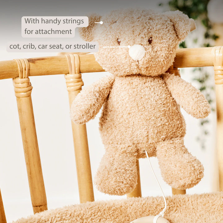 Nattou Musical Teddy - Baby Bear