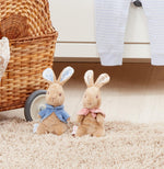 Peter Rabbit Signature Collection Small Soft Toy - Flopsy