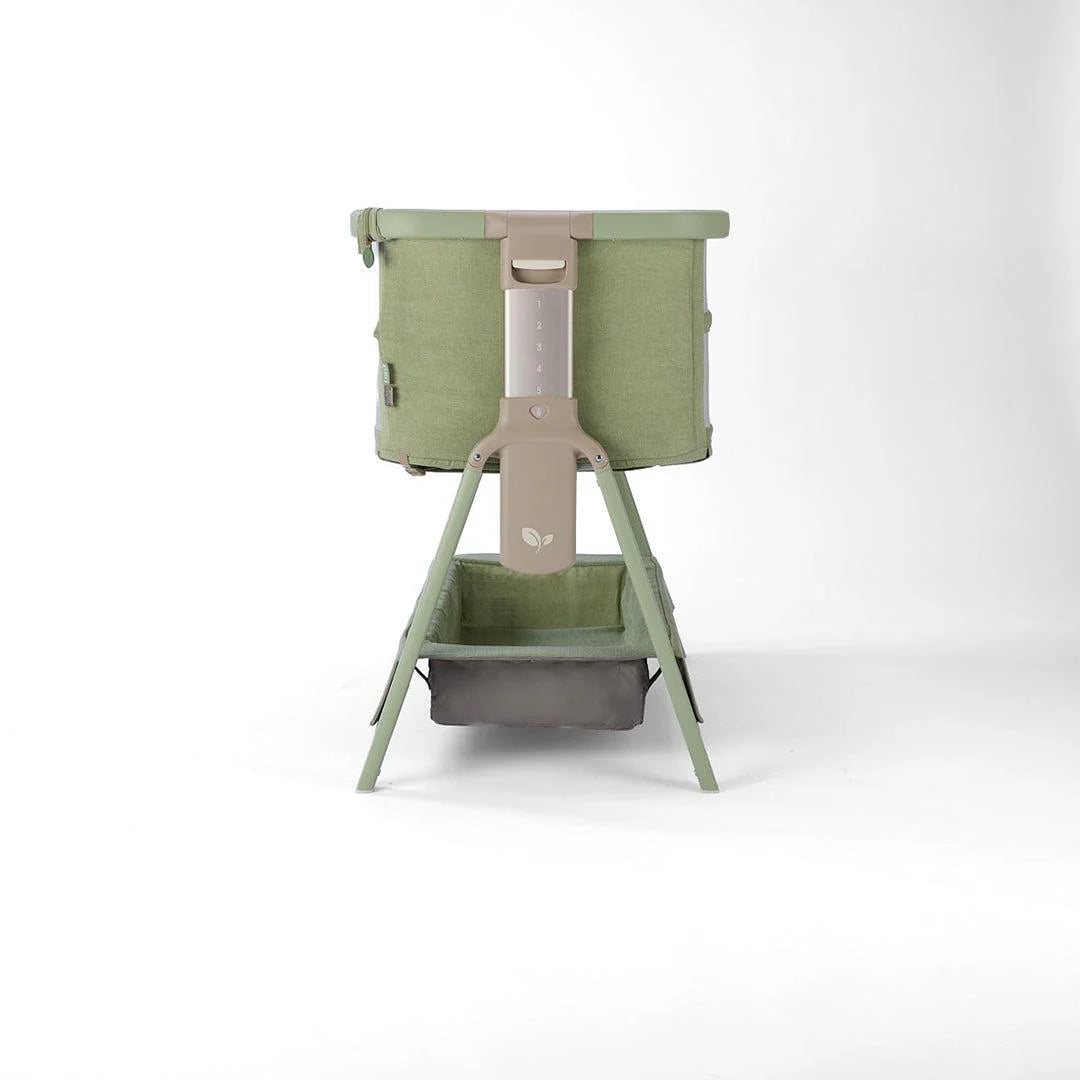 Tutti Bambini Cozee Zen Bedside Crib - Eucalyptus