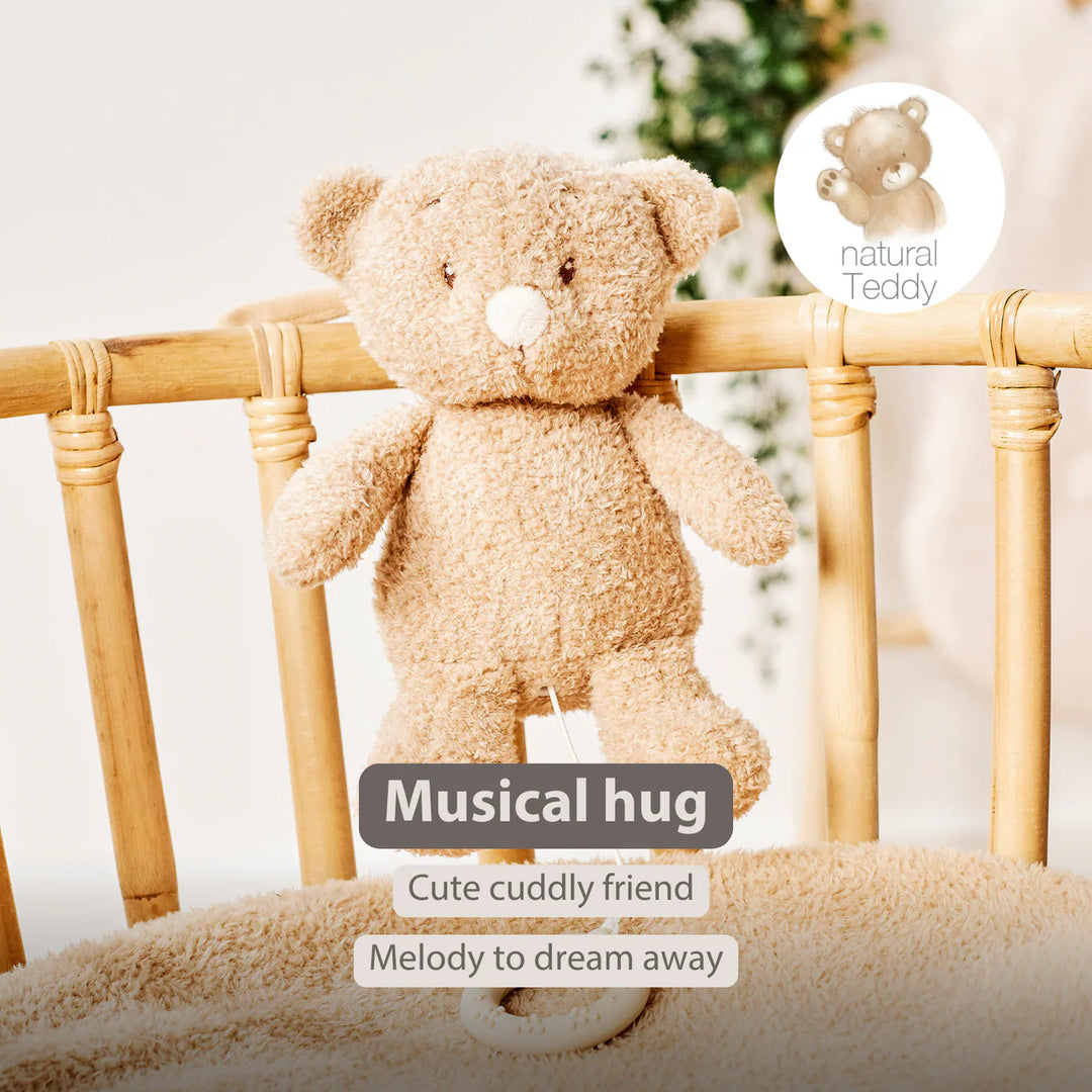 Nattou Musical Teddy - Baby Bear