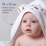 Paddington Bear Baby Hooded Towel