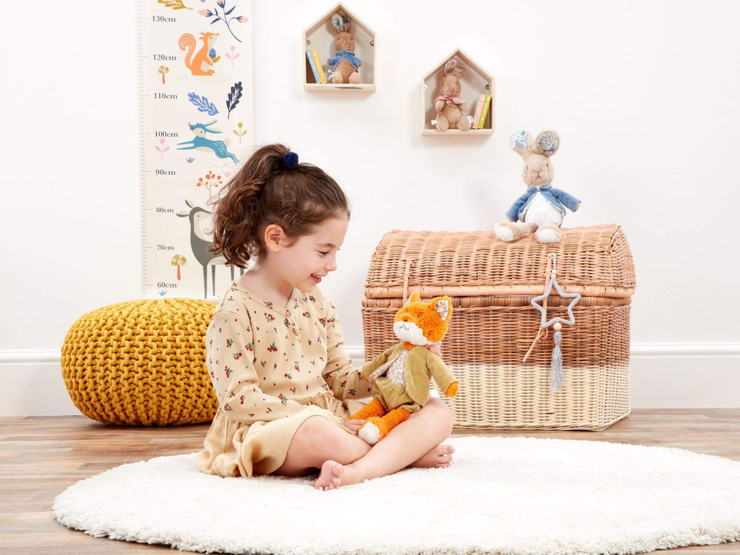 Peter Rabbit Signature Collection Soft Toy - Mr Todd