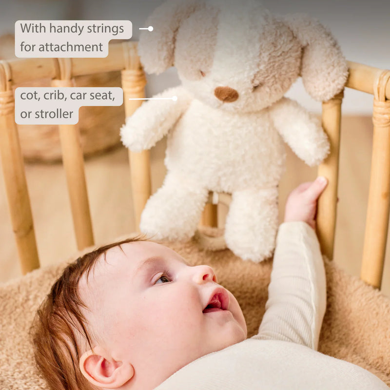 Nattou Musical Teddy - Baby Dog