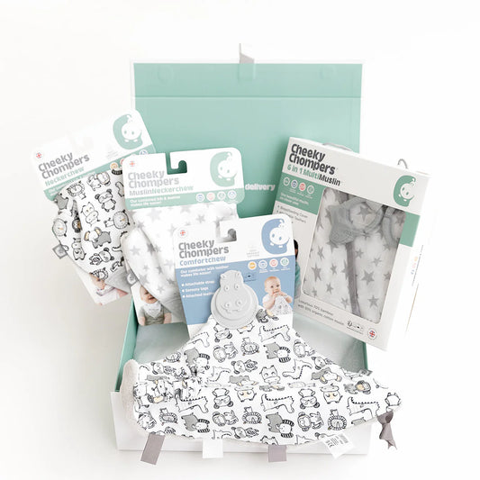 Cheeky Chompers Newborn Organic Muslin Gift Set - SIlver Stars