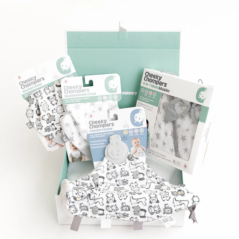 Cheeky Chompers Newborn Organic Muslin Gift Set - SIlver Stars