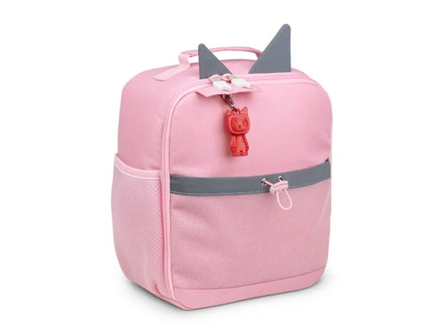 Carry Cases
