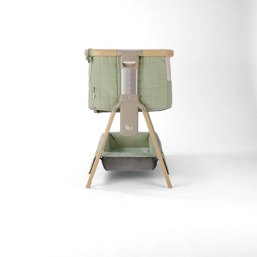 Tutti Bambini Cozee Sense Bedside Crib - Drifted Oak/Eucalyptus