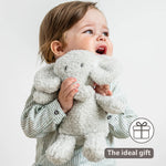 Nattou Mini Cuddly Teddy - Baby Elephant