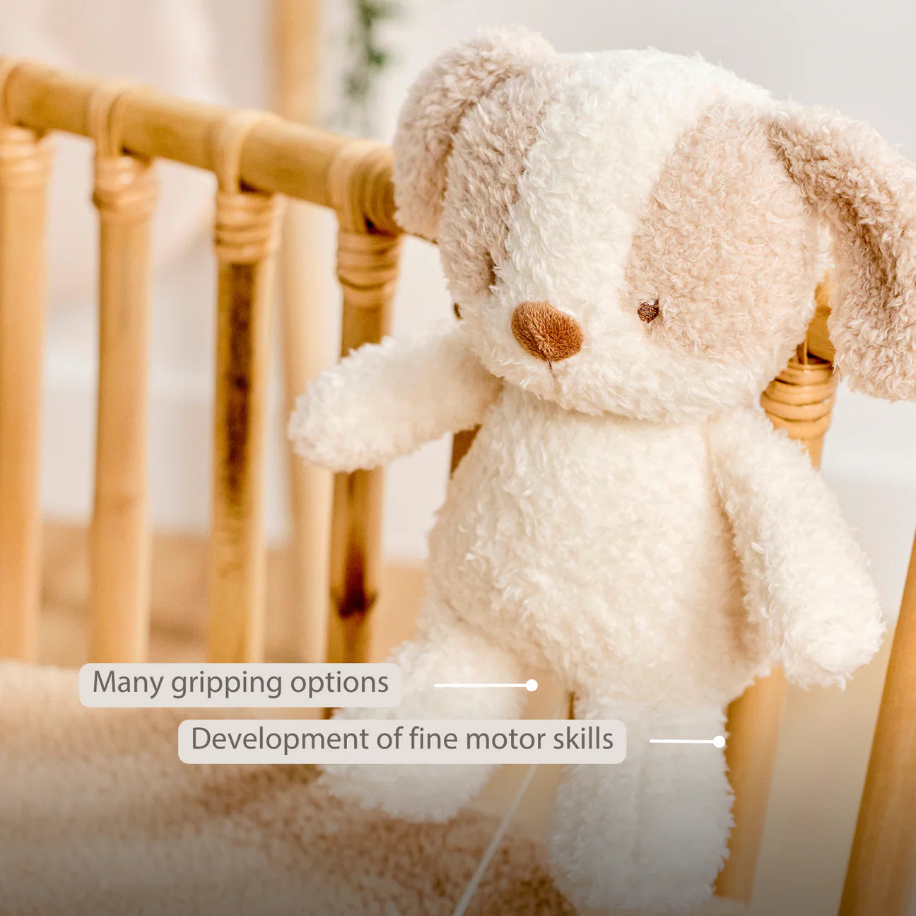 Nattou Musical Teddy - Baby Dog