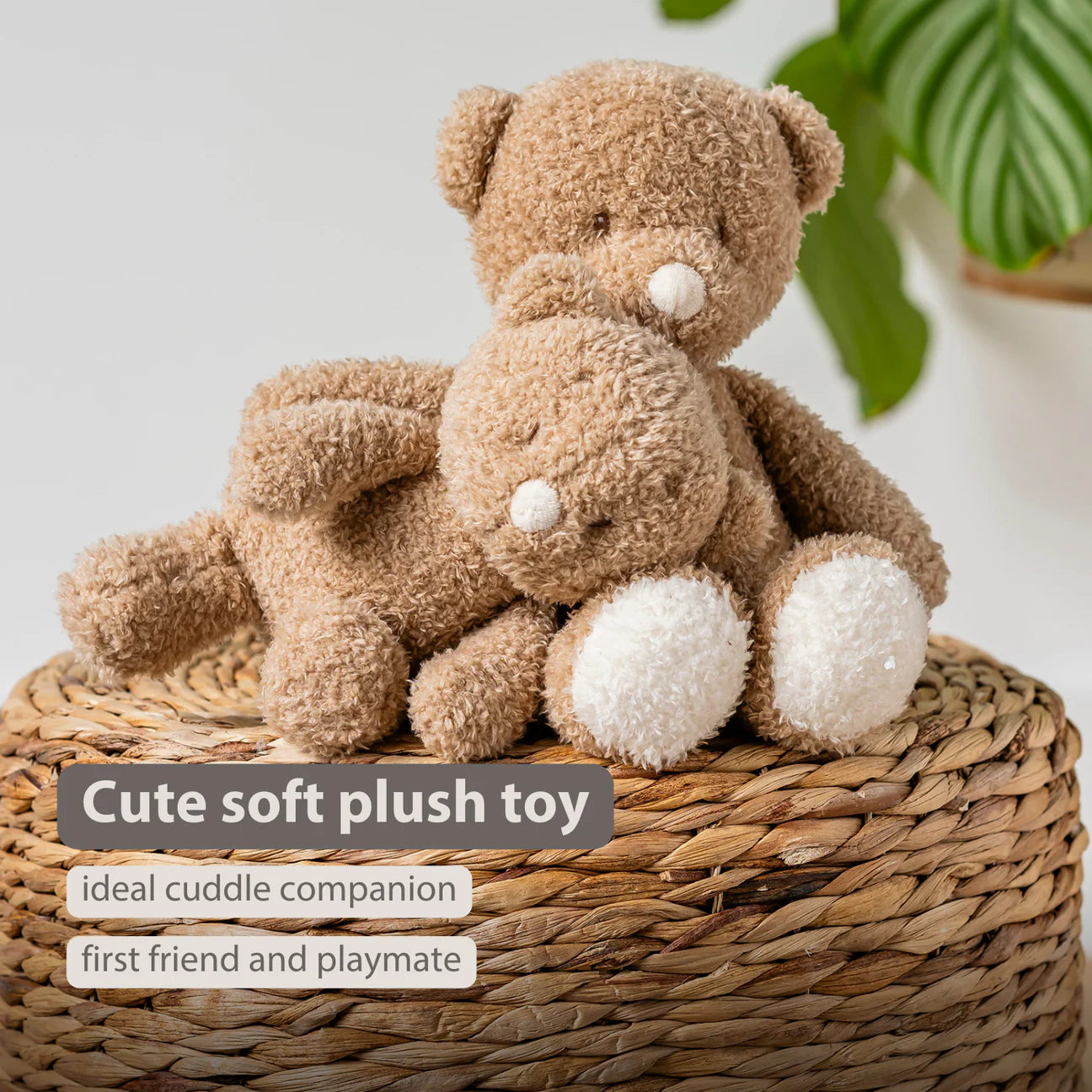 Nattou Mini Cuddly Teddy - Baby Bear