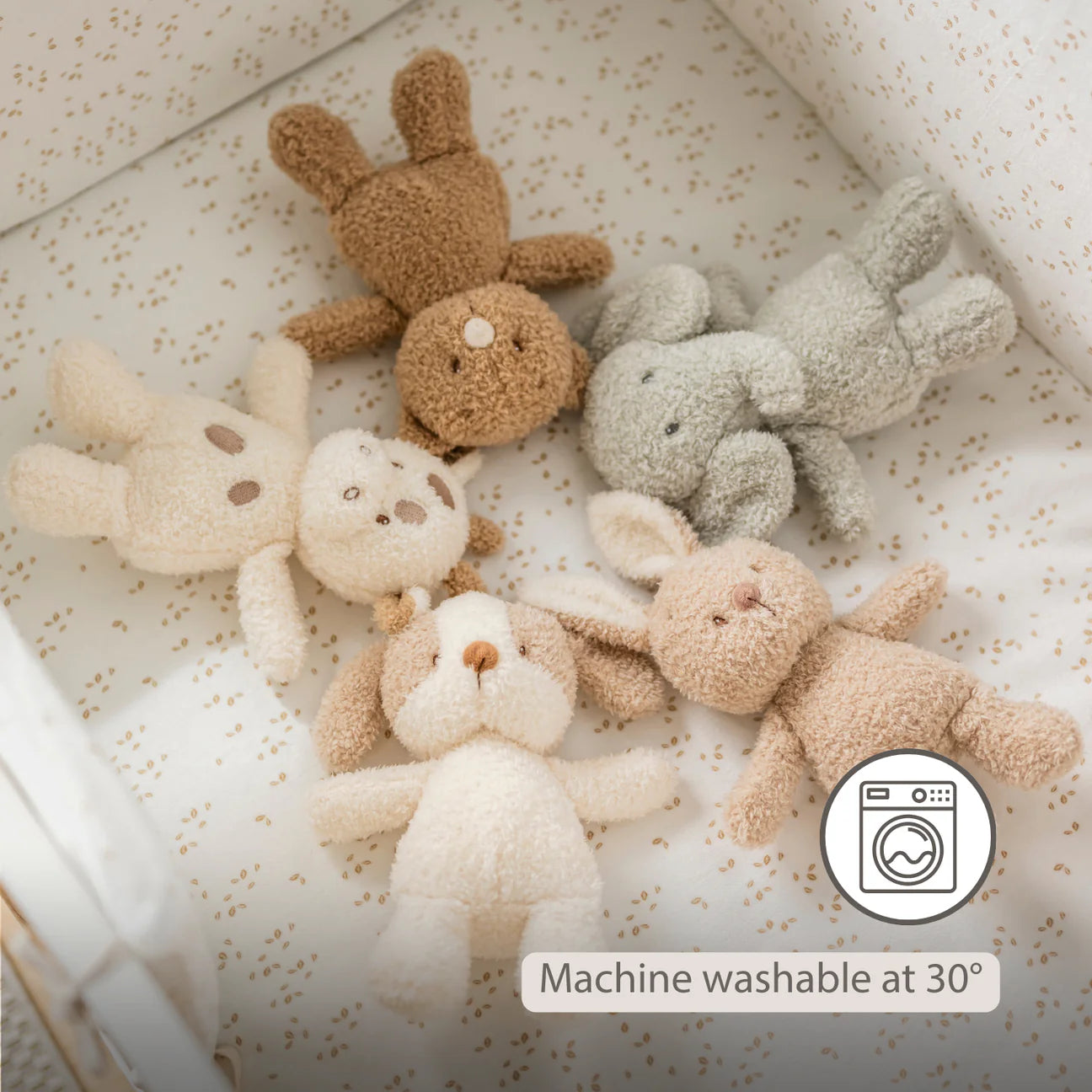 Nattou Mini Cuddly Teddy - Baby Dog