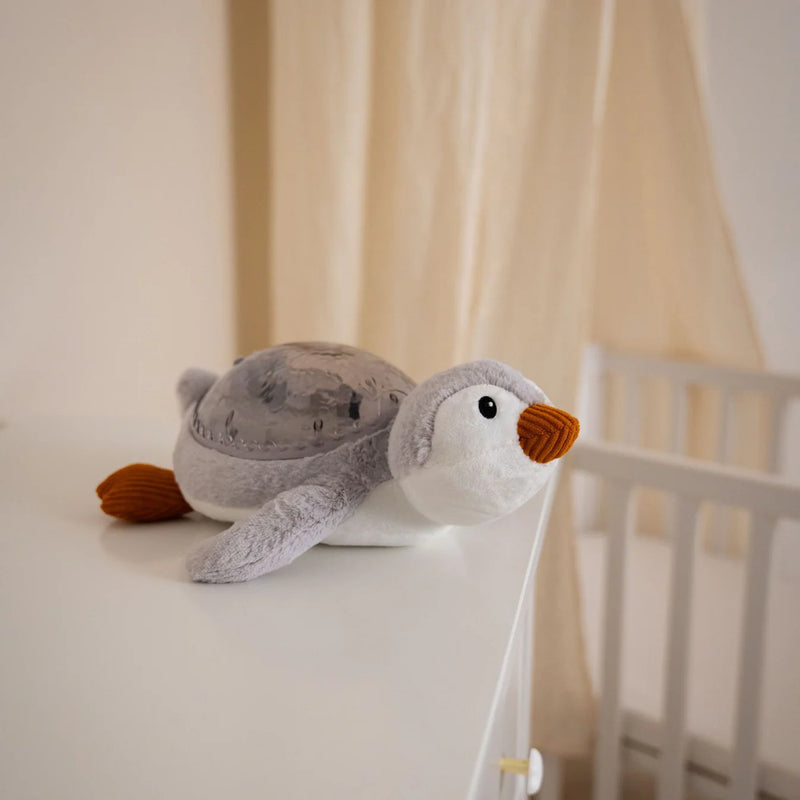 Cloud B Tranquil Penguin Musical Night Light