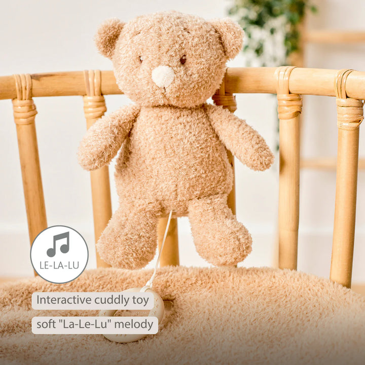 Nattou Musical Teddy - Baby Bear