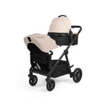 Ickle Bubba Virgo Growing Family 11 Piece Bundle - Stone