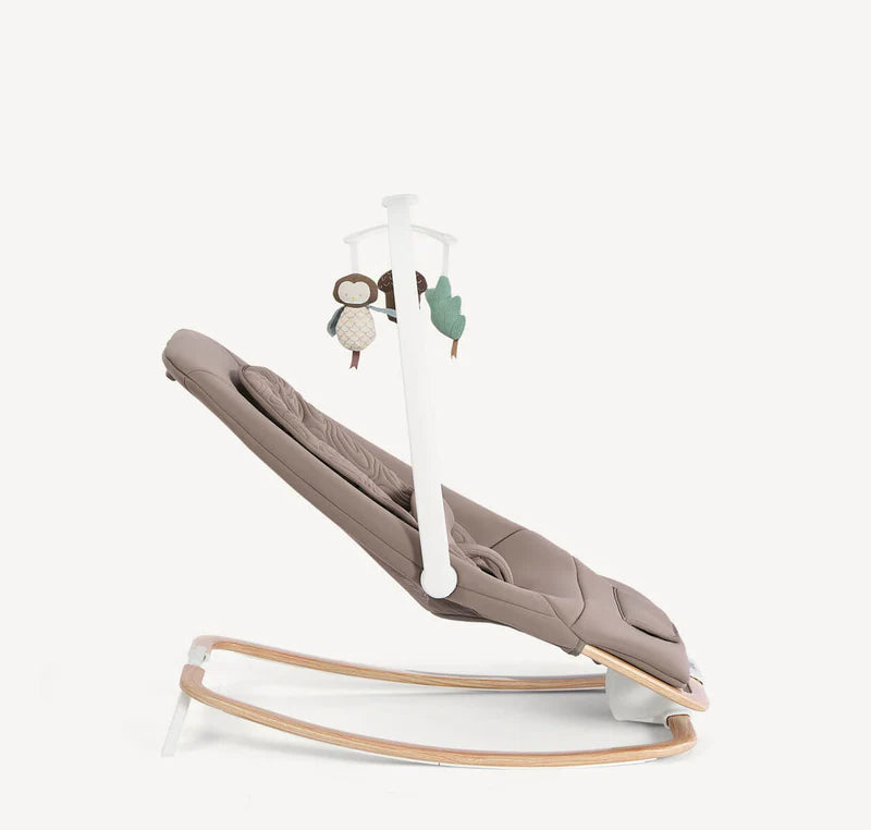 Joie Dreamer Rocker - Strata Acorn Wood
