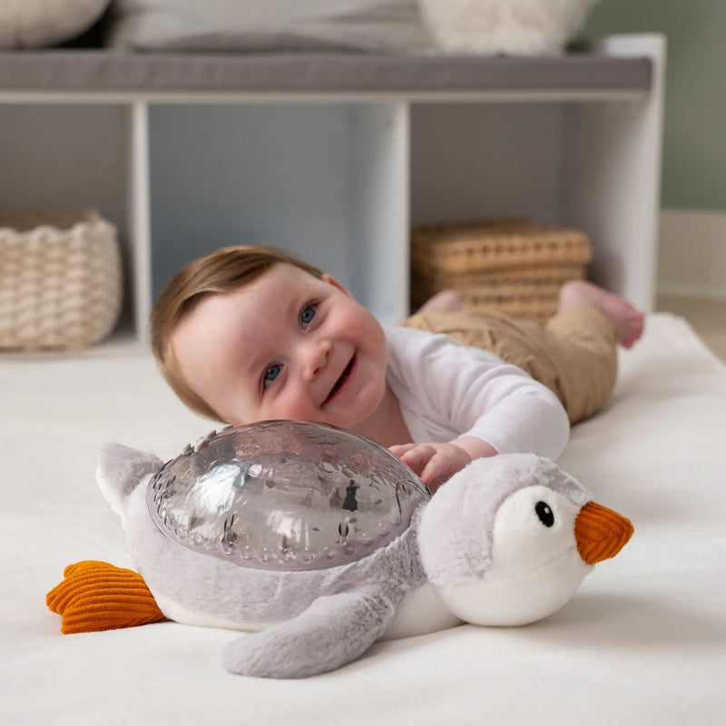 Cloud B Tranquil Penguin Musical Night Light
