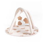 Roma Teddy Single Dolls Pram Everything Bundle