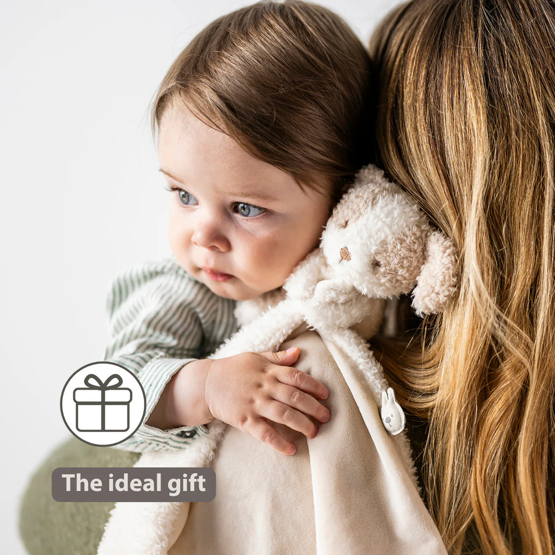 Nattou Teddy Doudou 27cm Comforter - Dog