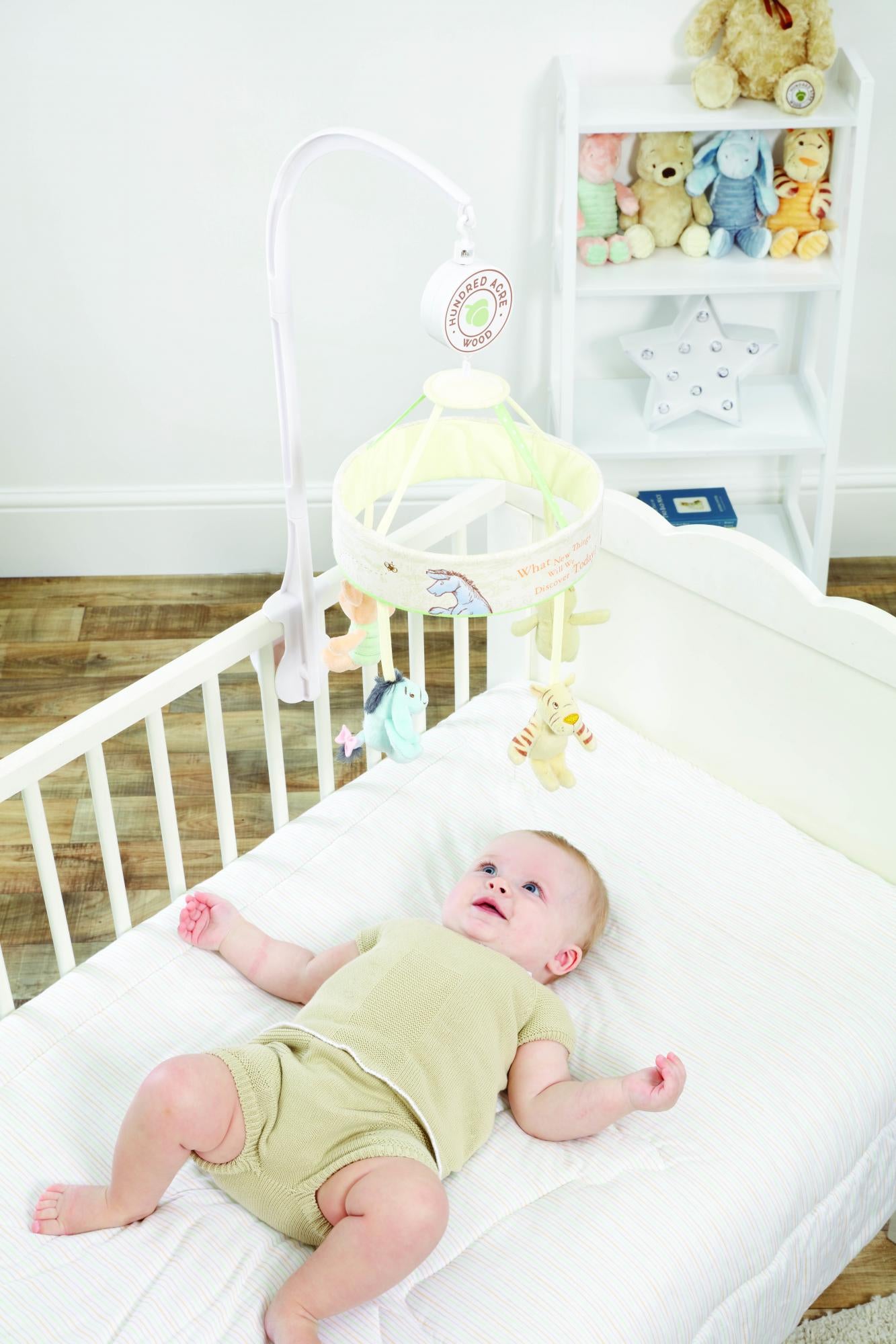 Winnie The Pooh Hundred Acre Wood Musical Cot Mobile