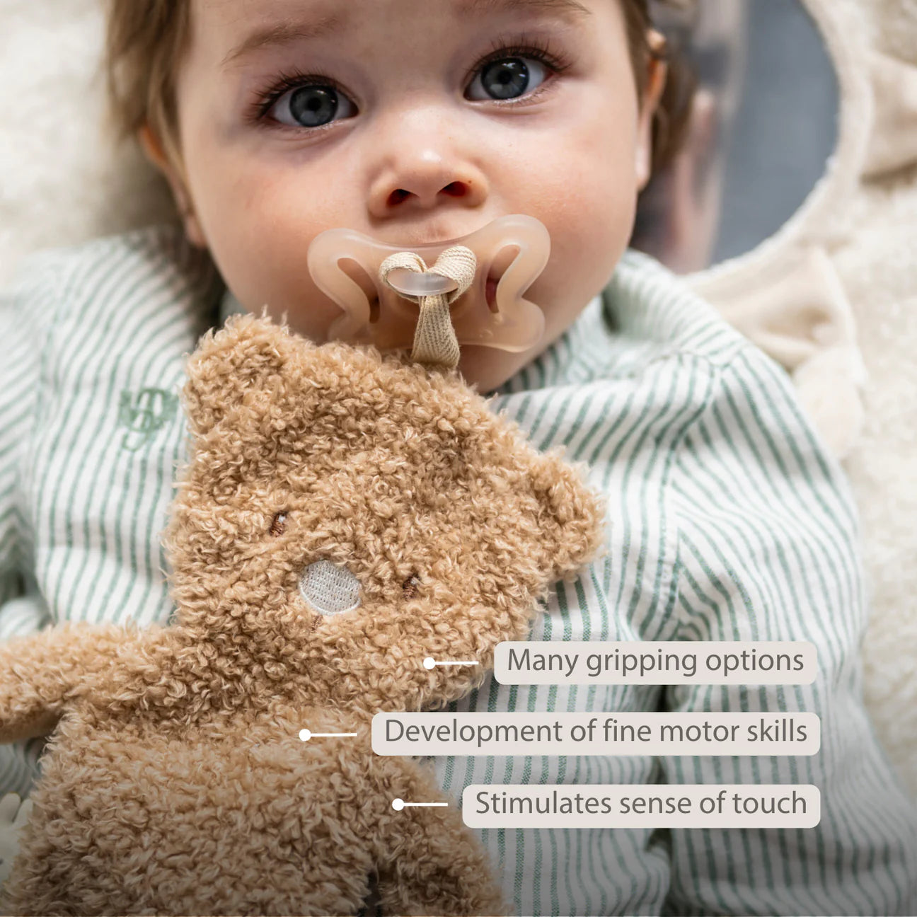 Nattou Pacifinder Teddy - Brown Bear