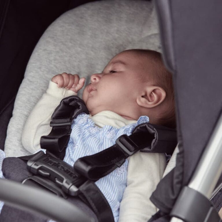 Inglesina Baby Snug Pad