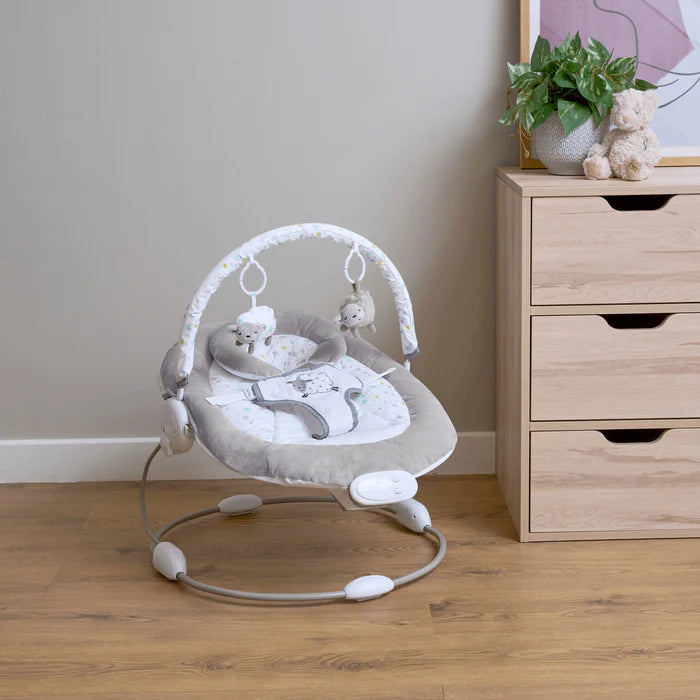 East Coast Counting Sheep Baby Bouncer