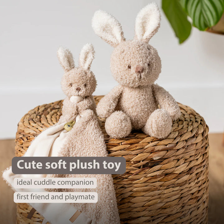 Nattou Mini Cuddly Teddy - Baby Bunny