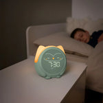 Cloud B Owlie Sleep Trainer