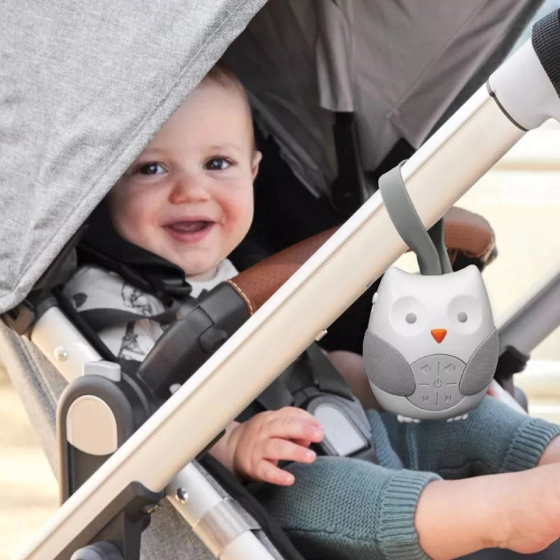 Skip Hop Stroll & Go Portable Baby Soother – Owl