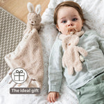 Nattou Pacifinder Teddy - Beige Bunny
