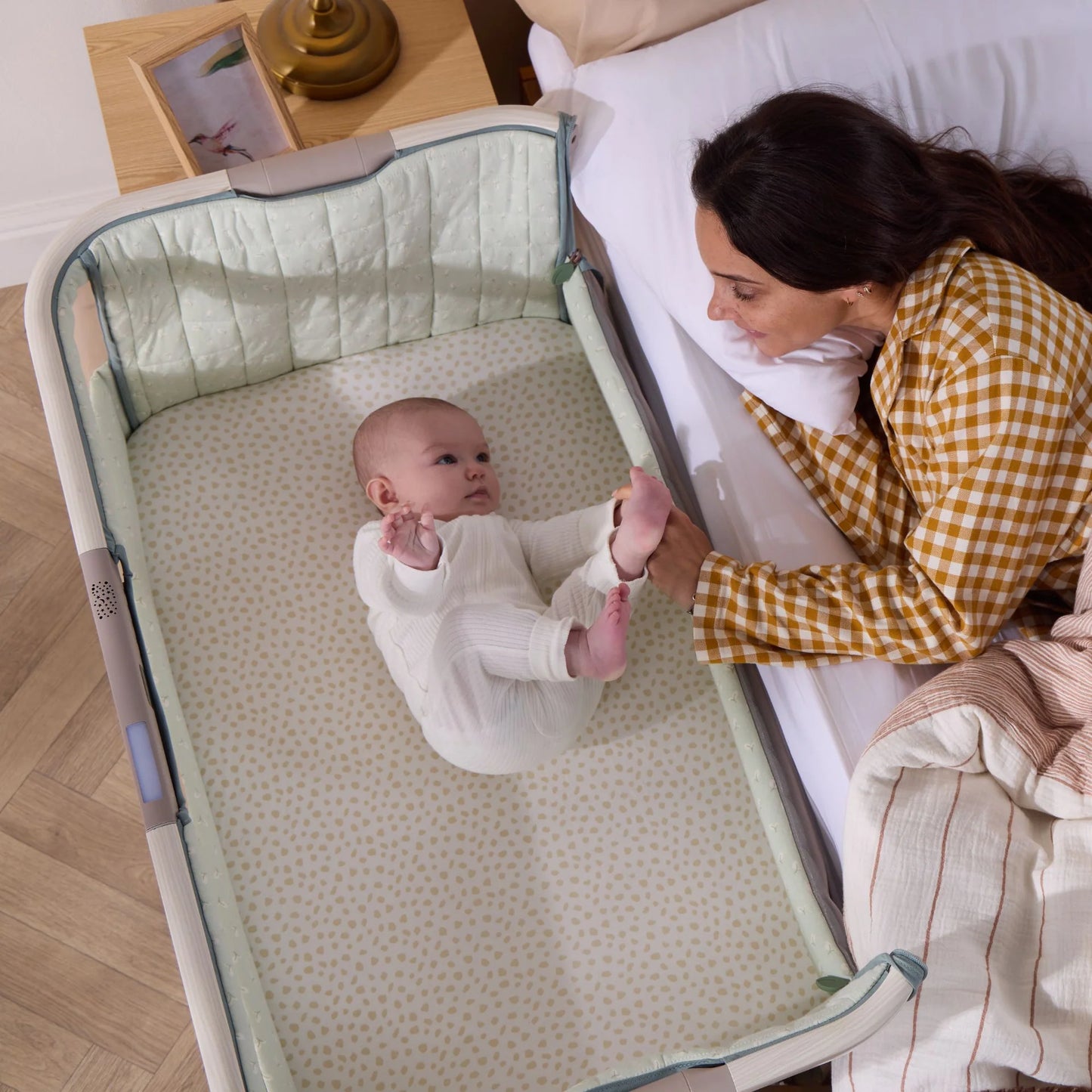 Tutti Bambini Cozee Sense Bedside Crib - Whitewash/Kelp