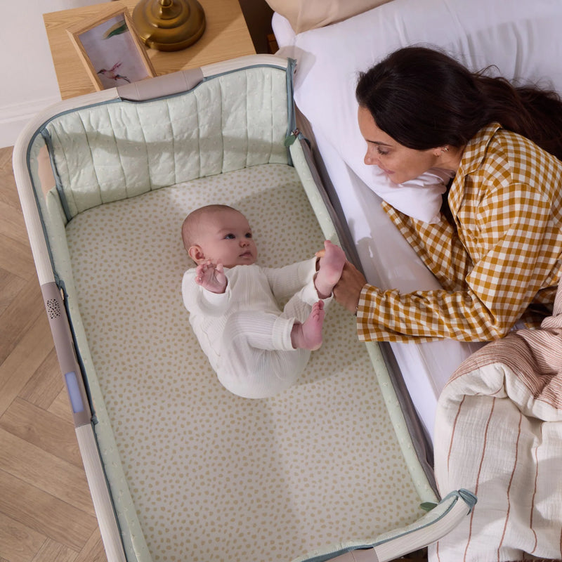 Tutti Bambini Cozee Sense Bedside Crib - Whitewash/Kelp