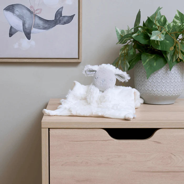 East Coast Counting Sheep Comforter