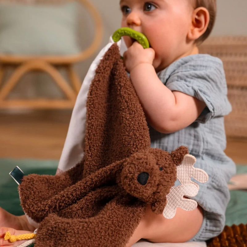 Little Big Friends Baby Gift Box - Forest