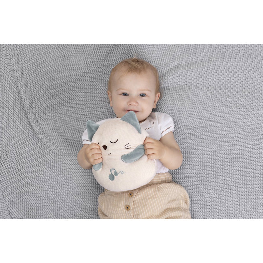 Chicco First Dreams Purring Cat Plush Toy