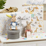 Peter Rabbit Signature Collection Small Soft Toy - Flopsy