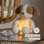 Nattou Mini Cuddly Dog Nightlight - Teddy Vanilla