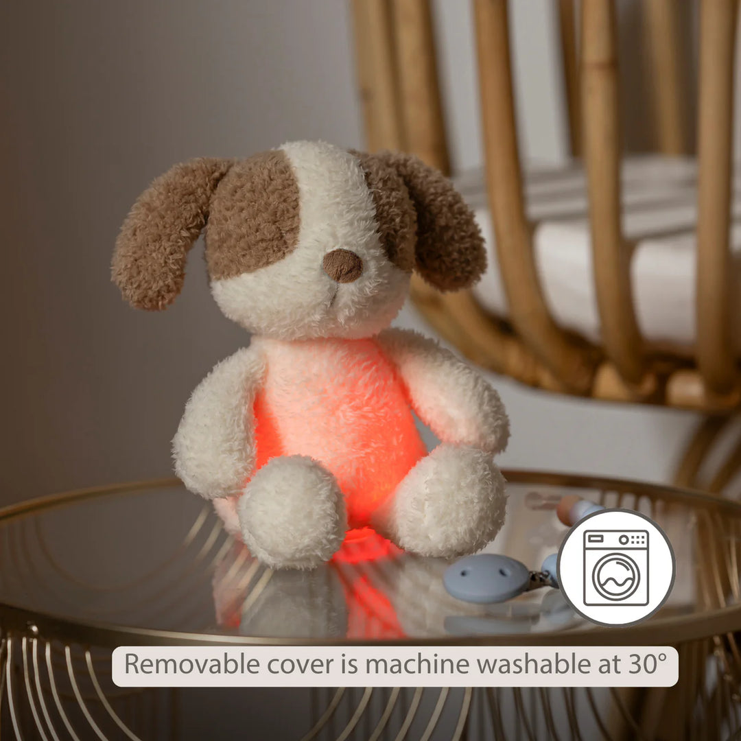 Nattou Mini Cuddly Dog Nightlight - Teddy Vanilla