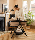 iCandy MiStand