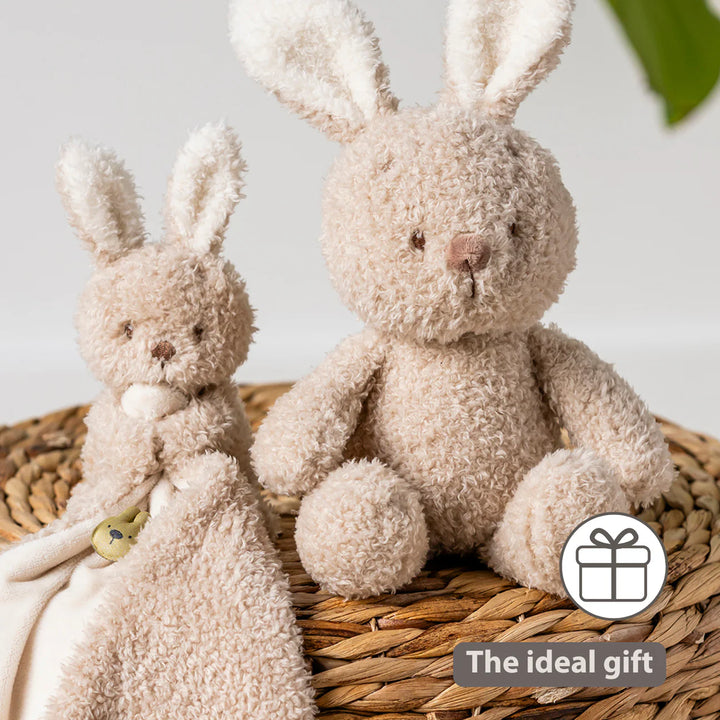 Nattou Mini Cuddly Teddy - Baby Bunny