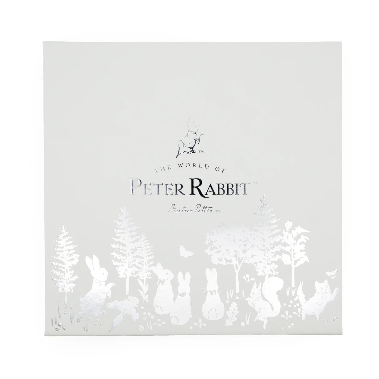 Peter Rabbit Baby Gift Box - Keepsake Frame, Milestone Cards & Handprint Kit