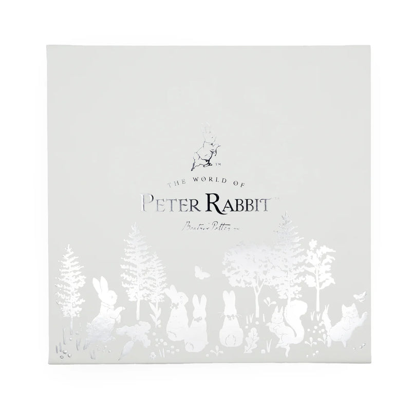 Peter Rabbit Baby Gift Box - Keepsake Frame, Milestone Cards & Handprint Kit