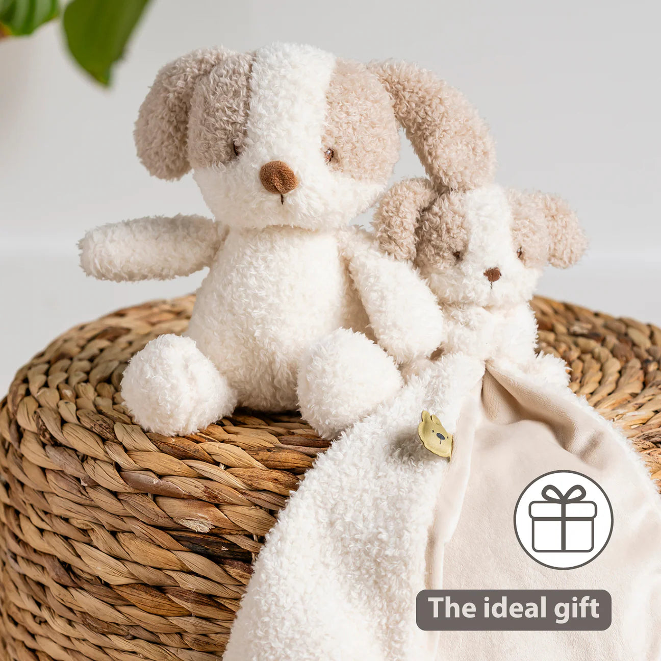 Nattou Mini Cuddly Teddy - Baby Dog