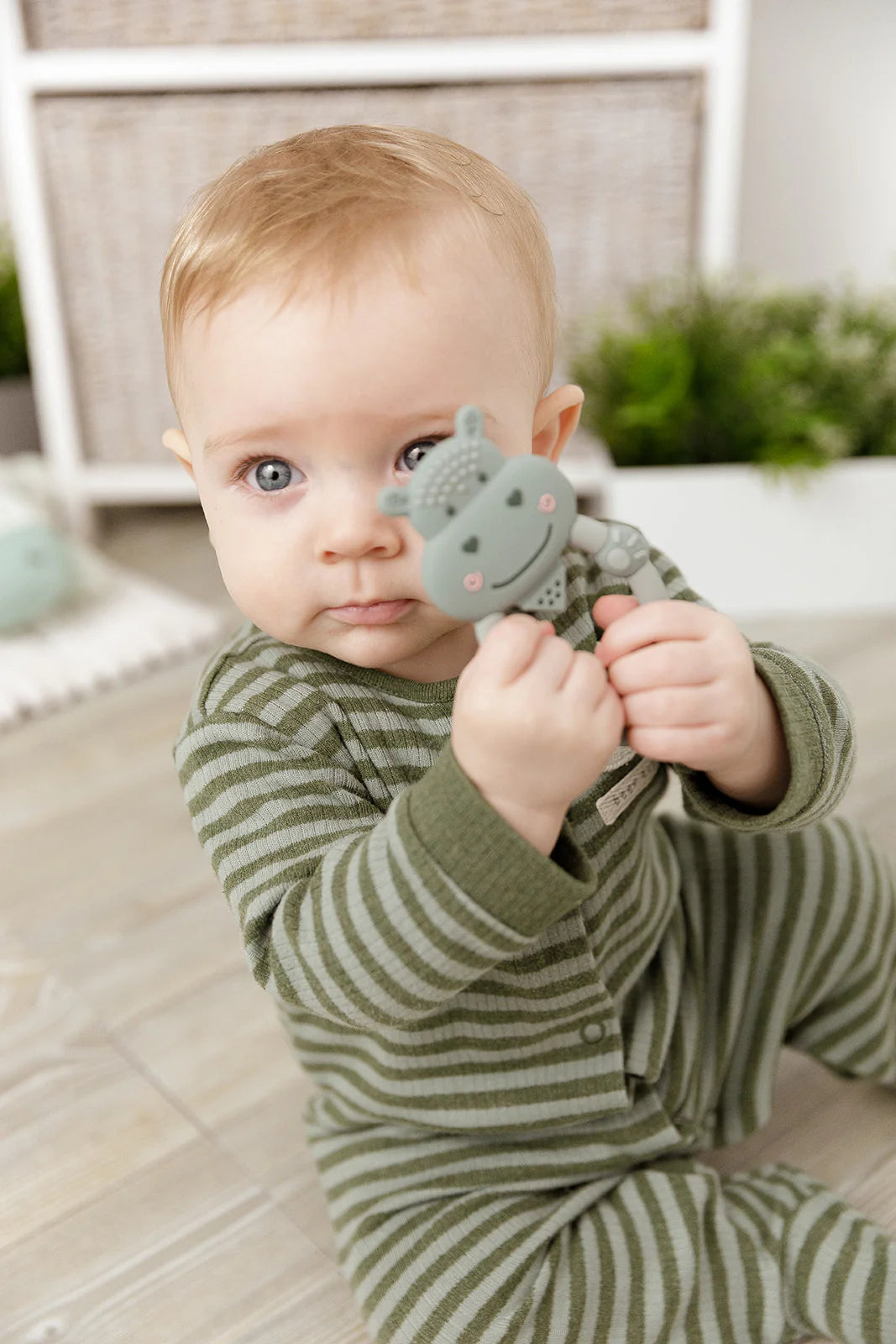 Cheeky Chompers Chewy Hippo Teething Gift Box - Sage