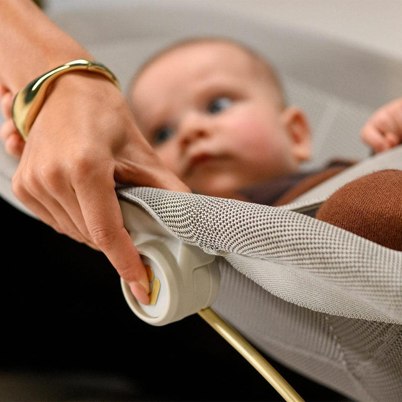 Maxi Cosi Dove Pro Bouncer + Toy Arch