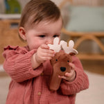 Little Big Friends Baby Gift Box - Forest