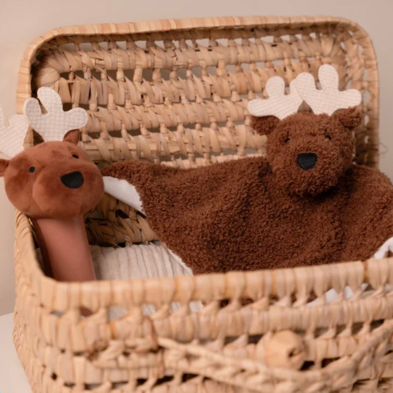 Little Big Friends Baby Gift Box - Forest