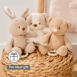 Nattou Musical Teddy - Baby Dog