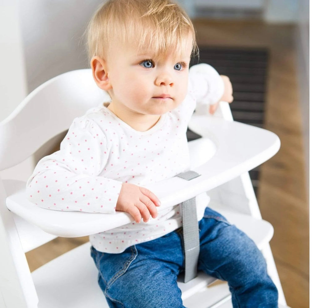 Hauck Alpha Highchair Bundle - Sweety moon